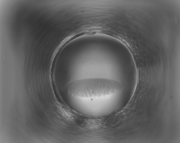 X0000084020147200702161237