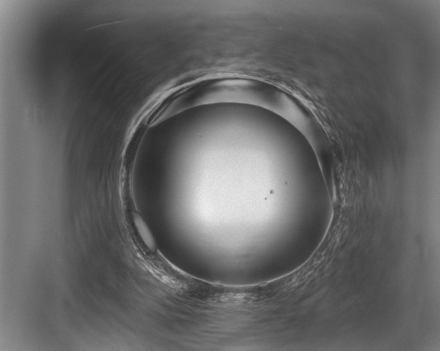 X0000084020152200702161237