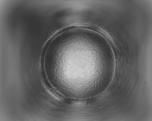 X0000084020155200702161237