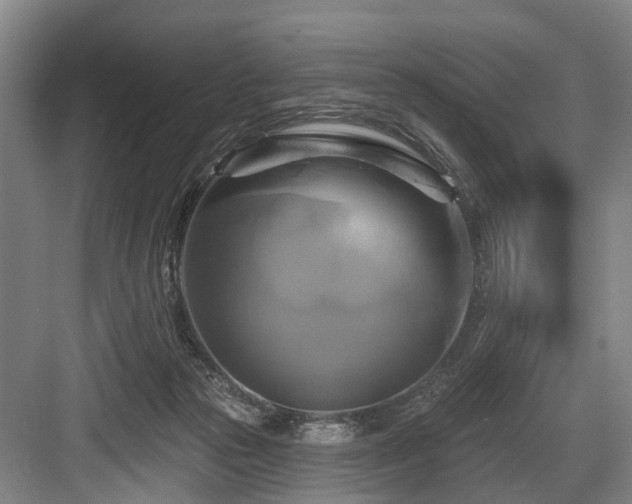 X0000084020169200702161237