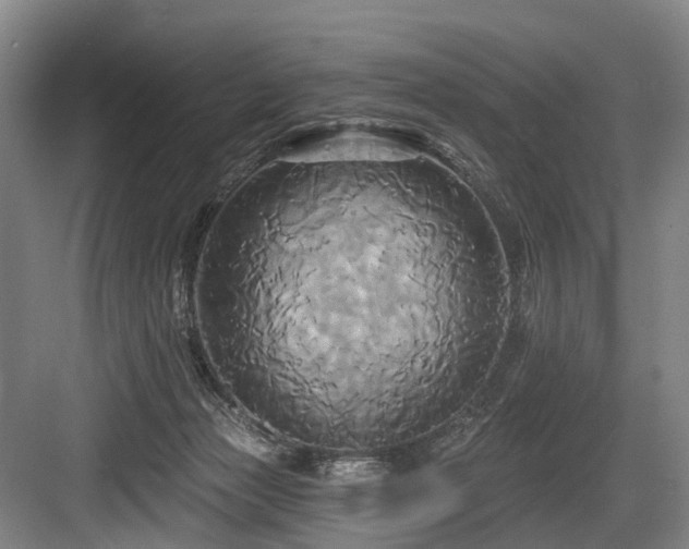 X0000084020173200702161237