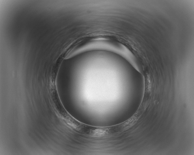 X0000084020176200702161237