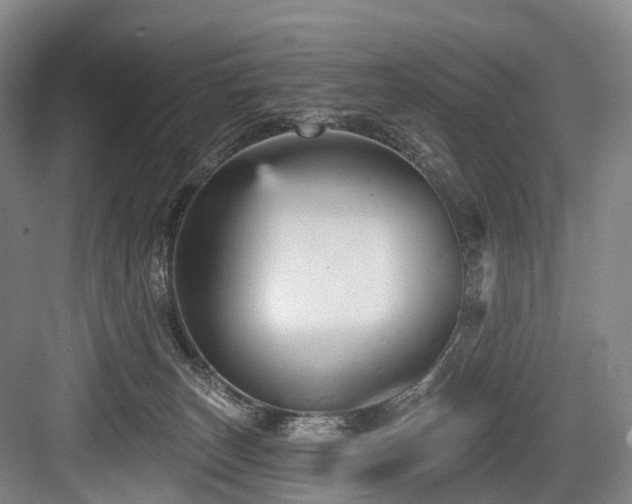 X0000084020179200702161237