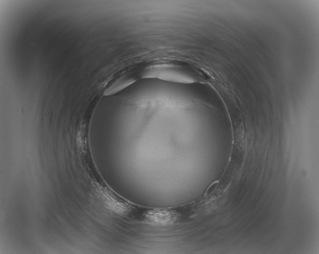 X0000084020181200702161237
