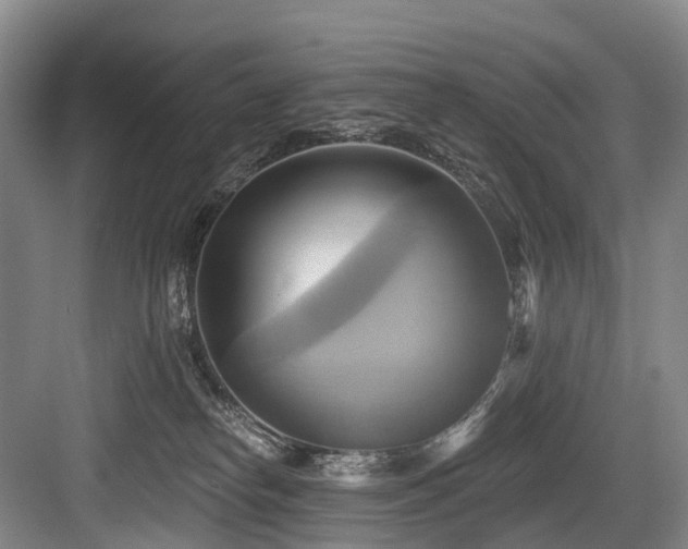 X0000084020182200702161237
