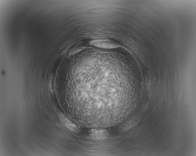 X0000084020185200702161237