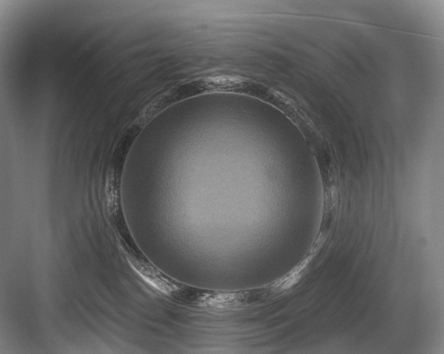 X0000084020186200702161237