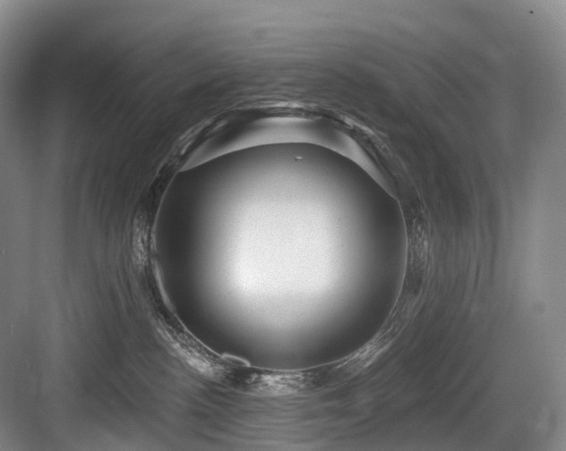 X0000084020188200702161237