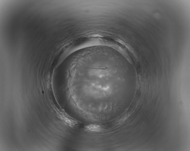 X0000084020189200702161237
