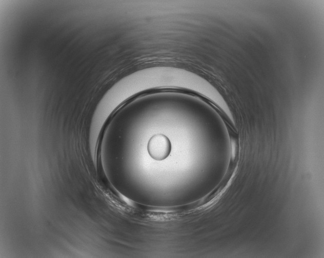 X0000084020190200702161237