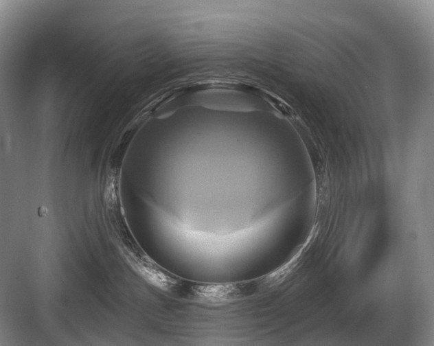 X0000084020191200702161237