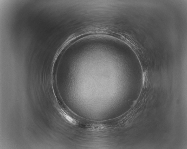 X0000084020195200702161236