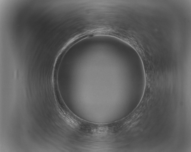 X0000084020196200702161236