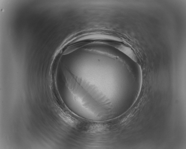 X0000084020198200702161236