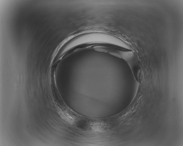 X0000084020200200702161236