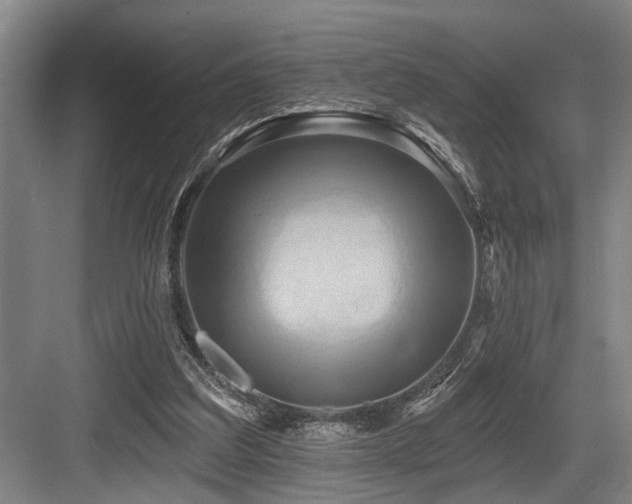 X0000084020203200702161236
