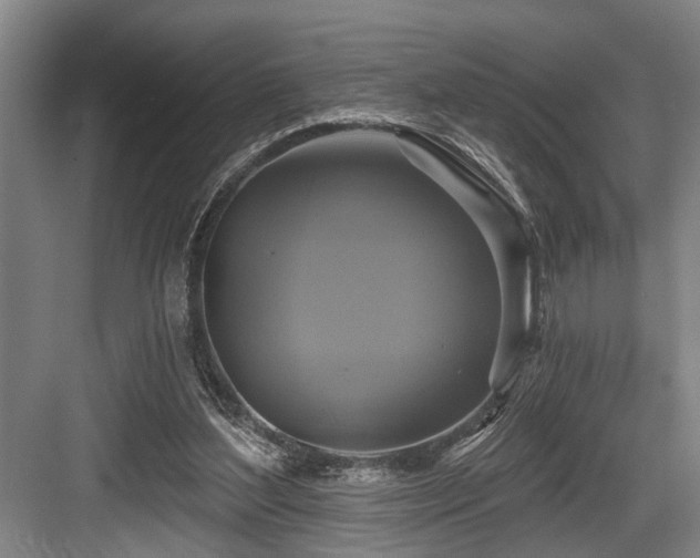 X0000084020204200702161236