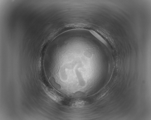 X0000084020206200702161236