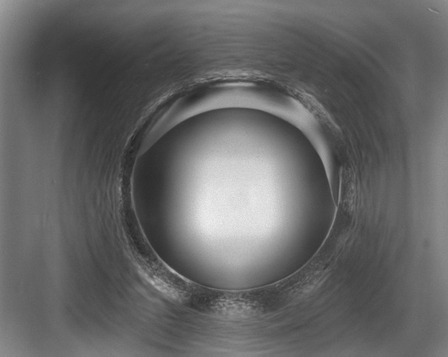 X0000084020207200702161236