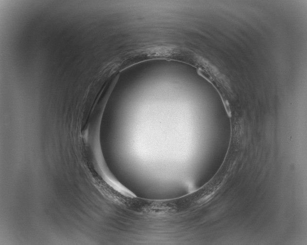 X0000084020209200702161236