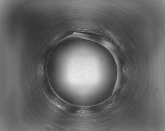X0000084020211200702161236