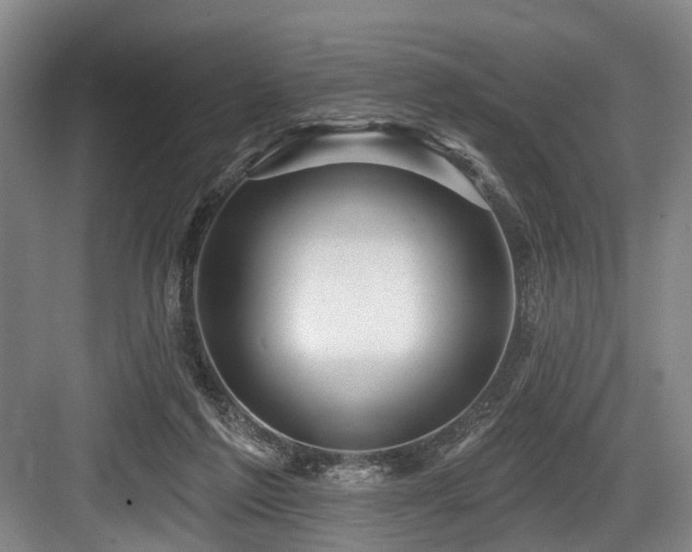 X0000084020213200702161236