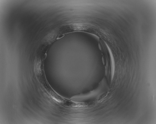 X0000084020219200702161236