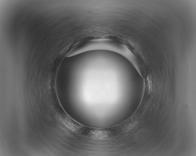 X0000084020221200702161236