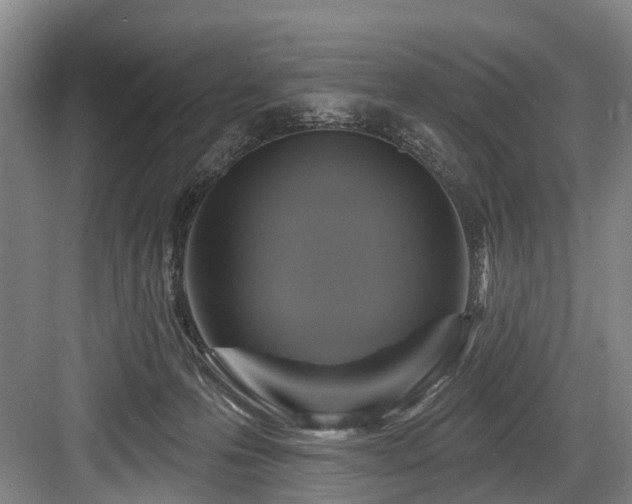 X0000084020223200702161236