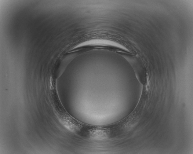X0000084020224200702161236