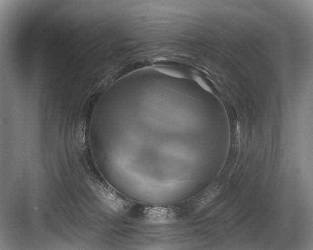 X0000084020230200702161236