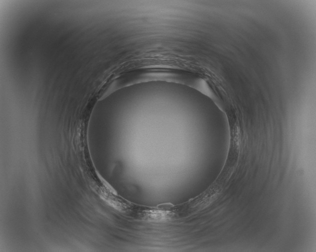 X0000084020233200702161236
