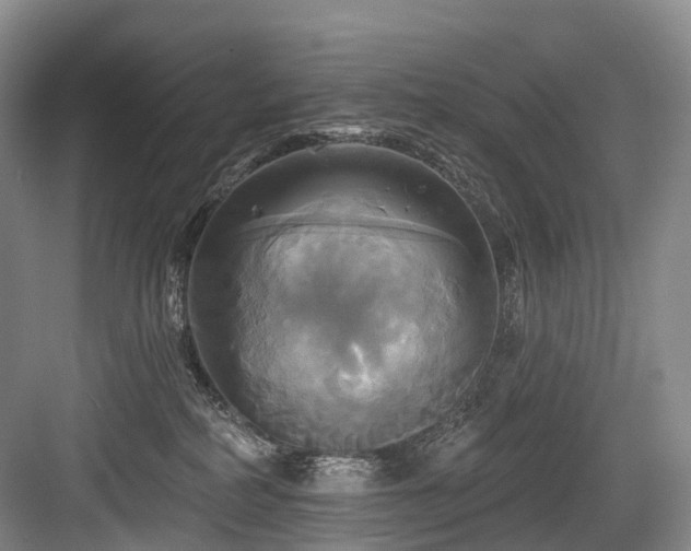 X0000084020234200702161236