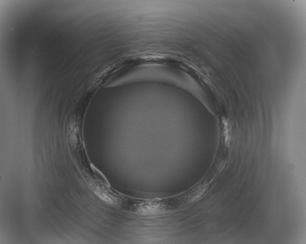 X0000084020235200702161236