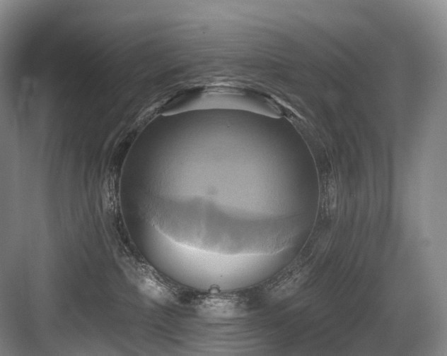 X0000084020236200702161236