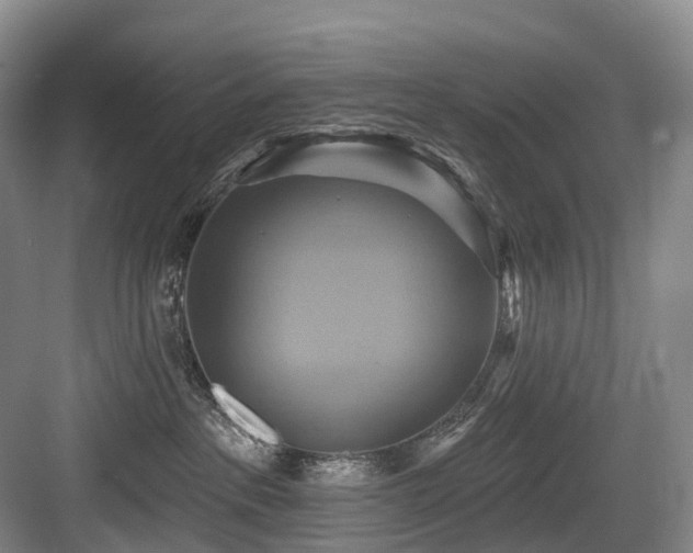 X0000084020237200702161236