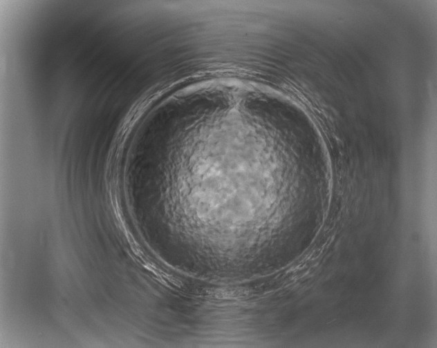 X0000084020241200702161235