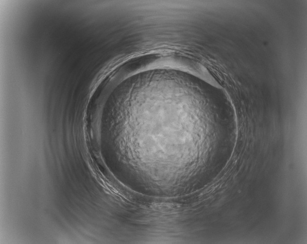 X0000084020242200702161235
