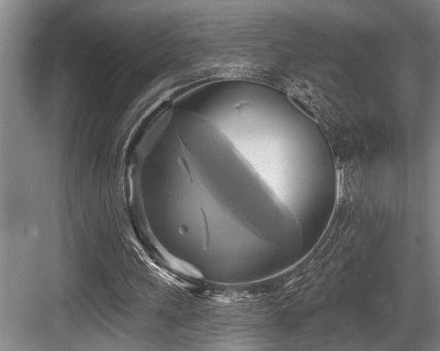 X0000084020243200702161235