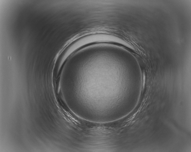 X0000084020244200702161235