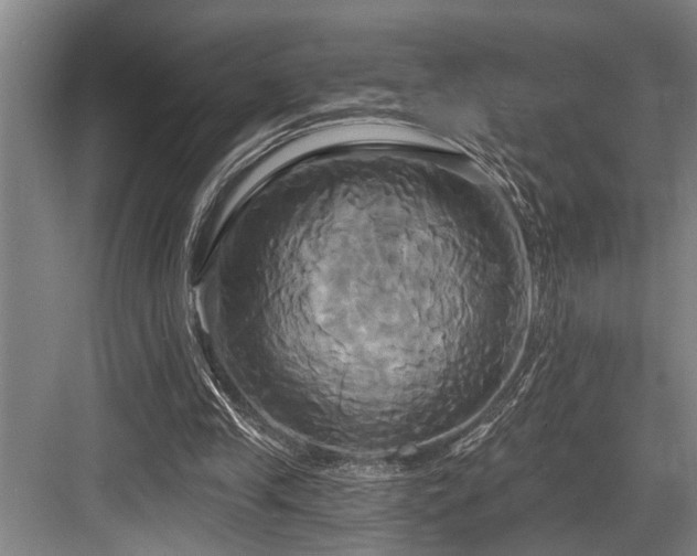 X0000084020245200702161235