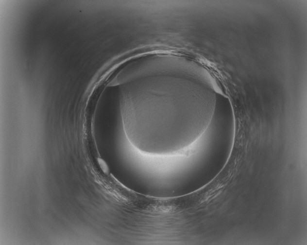 X0000084020247200702161235