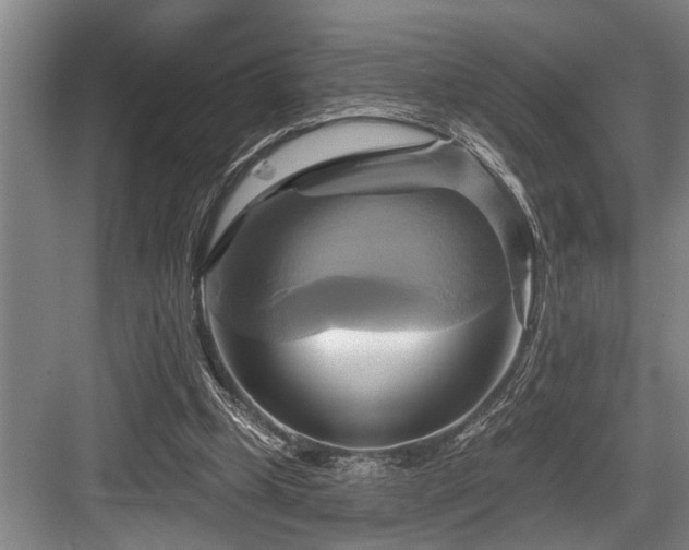 X0000084020249200702161235