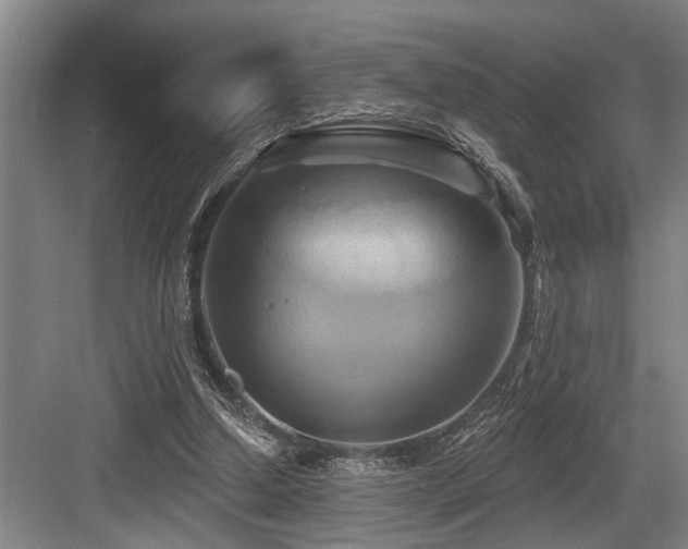 X0000084020250200702161235