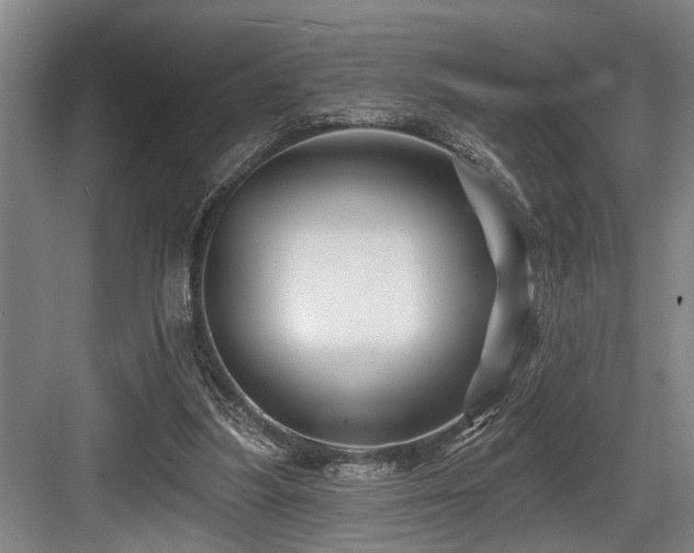 X0000084020251200702161235