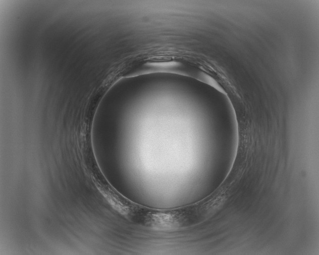 X0000084020265200702161235