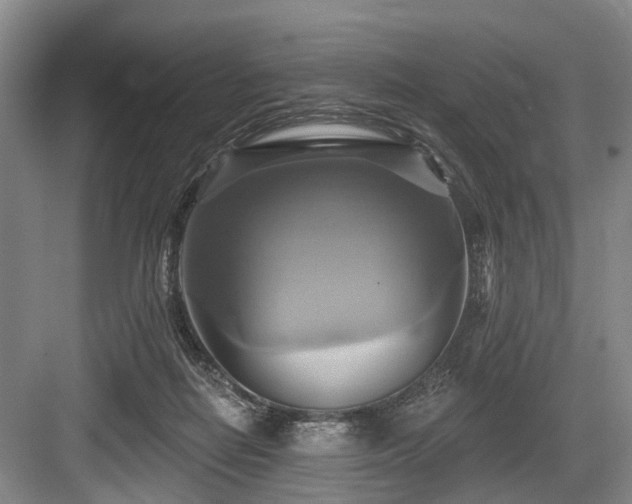 X0000084020266200702161235