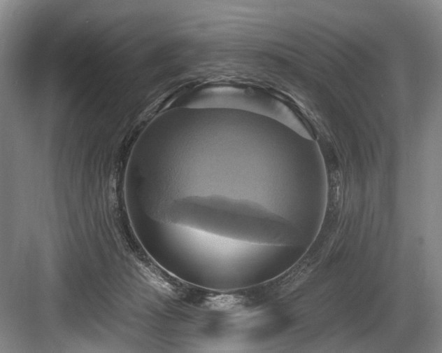 X0000084020269200702161235