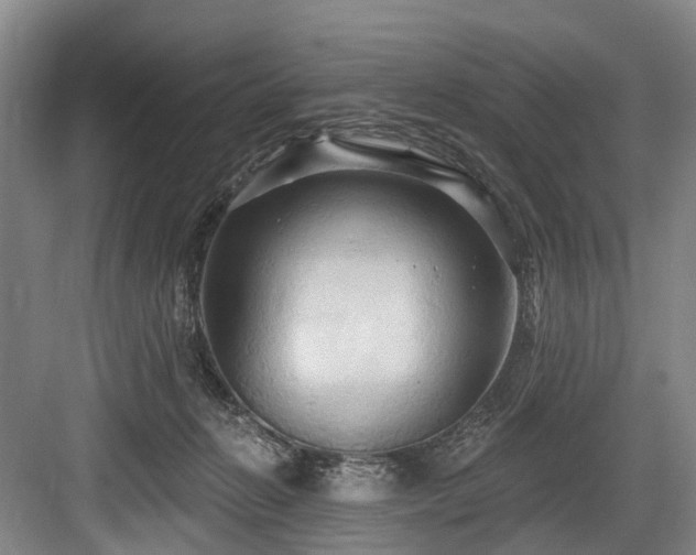 X0000084020270200702161235