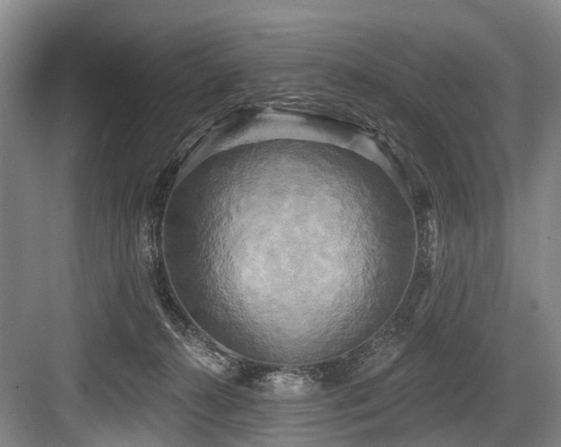 X0000084020272200702161235